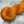 Charger l'image dans la galerie, Orange Solaire