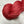 Charger l'image dans la galerie, Rouge 2.0