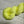 Charger l'image dans la galerie, Bébé Jaune Fluo (au gramme)