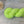 Charger l'image dans la galerie, Bébé Vert Fluo (au gramme)