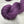 Charger l'image dans la galerie, Dark Pink (au gramme)