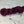 Charger l'image dans la galerie, Plum (au gramme)