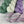 Charger l'image dans la galerie, Violette Africaine (au gramme)