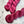 Charger l'image dans la galerie, Flamingo (au gramme)