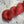 Charger l'image dans la galerie, Corail (au gramme)