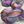Charger l'image dans la galerie, Pois de senteur (Worsted)