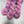 Charger l'image dans la galerie, La Panthère Rose (au gramme)