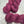 Charger l'image dans la galerie, Coulis de Framboises (au gramme)