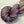 Charger l'image dans la galerie, Astible (au gramme)