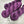 Charger l'image dans la galerie, Dark Pink