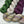 Charger l'image dans la galerie, Plum
