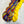 Charger l'image dans la galerie, Primaire