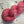 Charger l'image dans la galerie, Rose Nanane (au gramme)