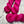 Charger l'image dans la galerie, Rosette (suer vente)