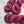 Charger l'image dans la galerie, Vignoble (super vente)