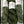 Charger l'image dans la galerie, Feuillage Vert (super vente)