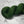 Charger l'image dans la galerie, Feuillage Vert (super vente)