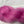 Charger l'image dans la galerie, Rosette (suer vente)