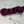 Charger l'image dans la galerie, Plum