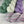 Charger l'image dans la galerie, Violette Africaine (super vente)