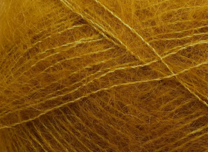 TILIA -FILCOLANA-