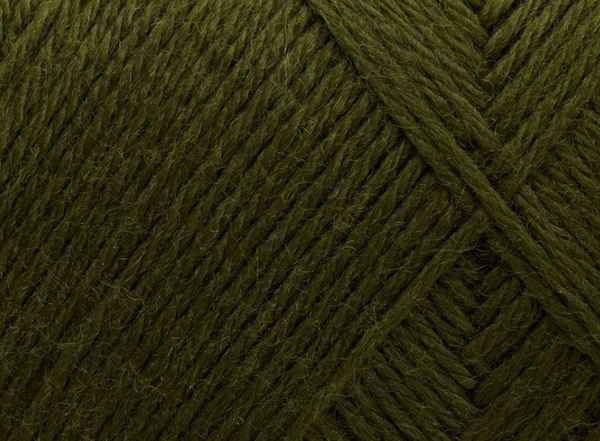ARWETTA- FILCOLANA