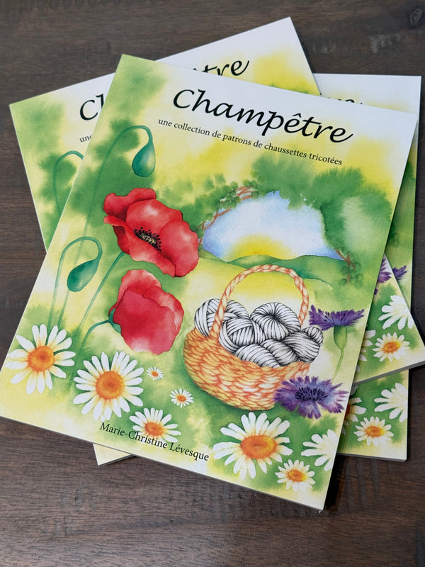 Livres de Marie-Christine Levesque