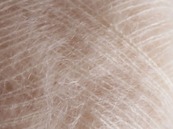 TILIA -FILCOLANA-