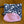 Charger l'image dans la galerie, COUVRE CAKE PETIT

