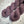 Plum (au gramme)