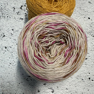 Fraîcheur de l'Aster (au gramme)