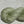 Eucalyptus (au gramme)