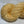 Abricot (au gramme)
