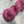 Candy Pink