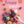 LES TRICOTS TOUSKI -AUTRICE CLO TRICOT-