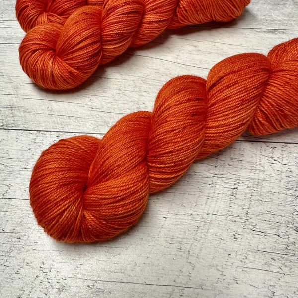 Citrouille Flamboyante (Lace)