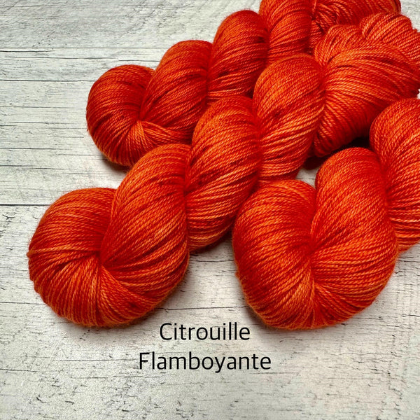 Citrouille Flamboyante (Dk)