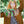 WORSTED COLLECTION DE TRICOT PAR AIMÉE GILLE
