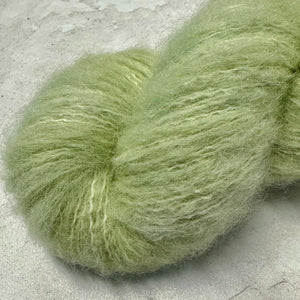 Eucalyptus