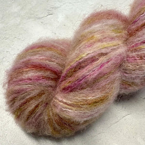 Fraîcheur de l'Aster