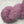 Lilas Japonais