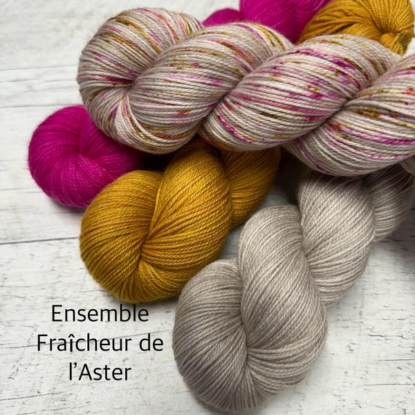 Fraîcheur de l'Aster (Worsted)