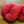 Charger l'image dans la galerie, Rouge 2.0
