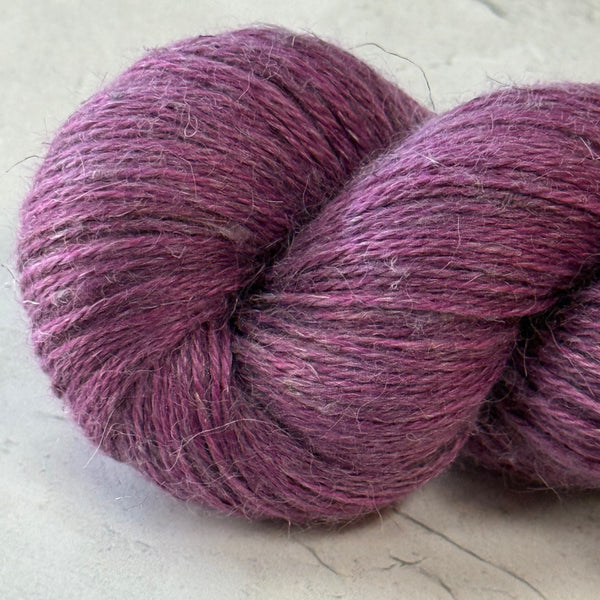 LILAS DU NORD