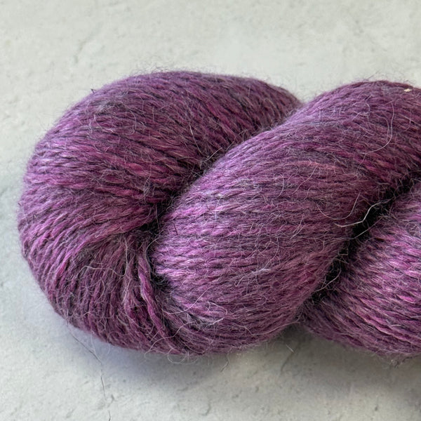 LILAS DU NORD