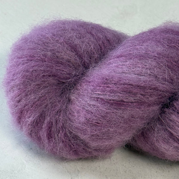 LILAS DU NORD