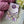 Charger l'image dans la galerie, MARQUEUR ESSENTIELS -ARTE BRUNELLE-
