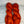 Citrouille Flamboyante (au gramme)