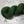 Feuillage Vert (au gramme)