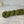 Gazon Printanier (au gramme)